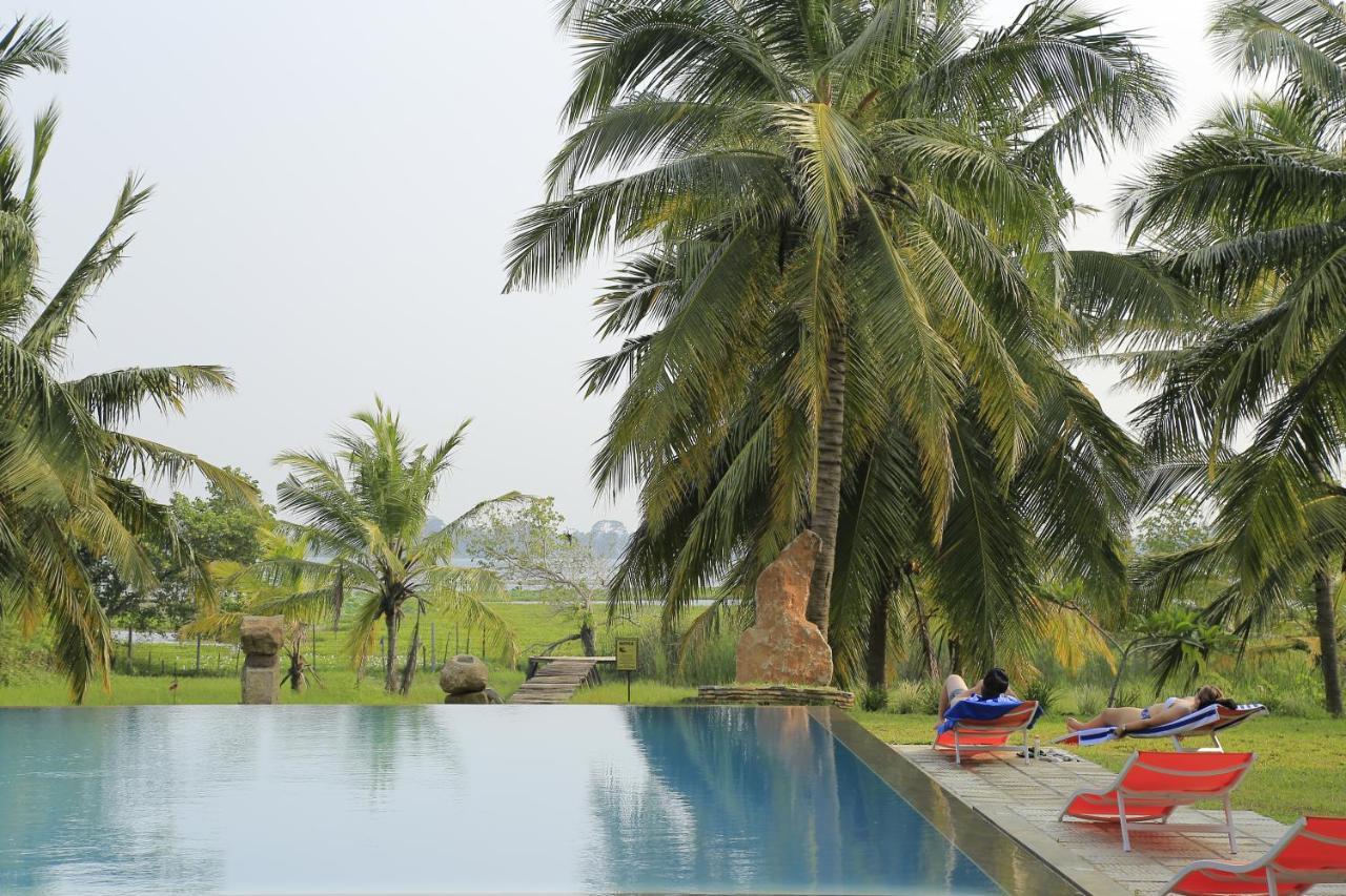 Tara Watergate Hotel Tissamaharama Exterior photo